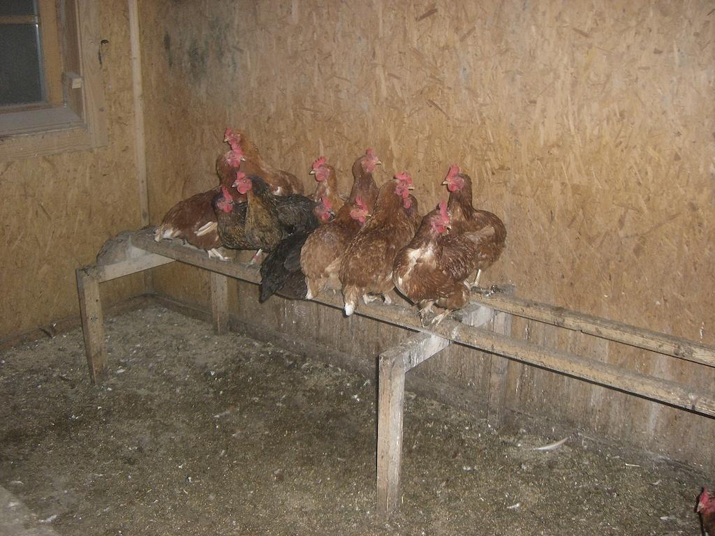 상트조한인티롤 Vorderstockerhof 빌라 외부 사진